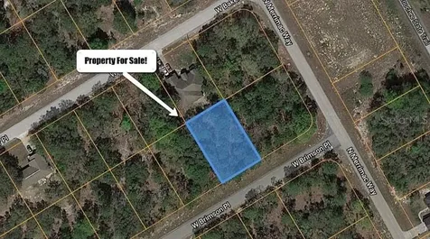 169 W Brimson Place Citrus Springs FL 34434