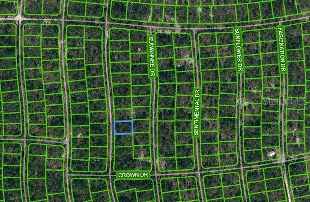 249 Sunnyside Drive Lake Placid FL 33852