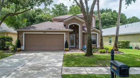 10006 Bridgeton Drive Tampa FL 33626