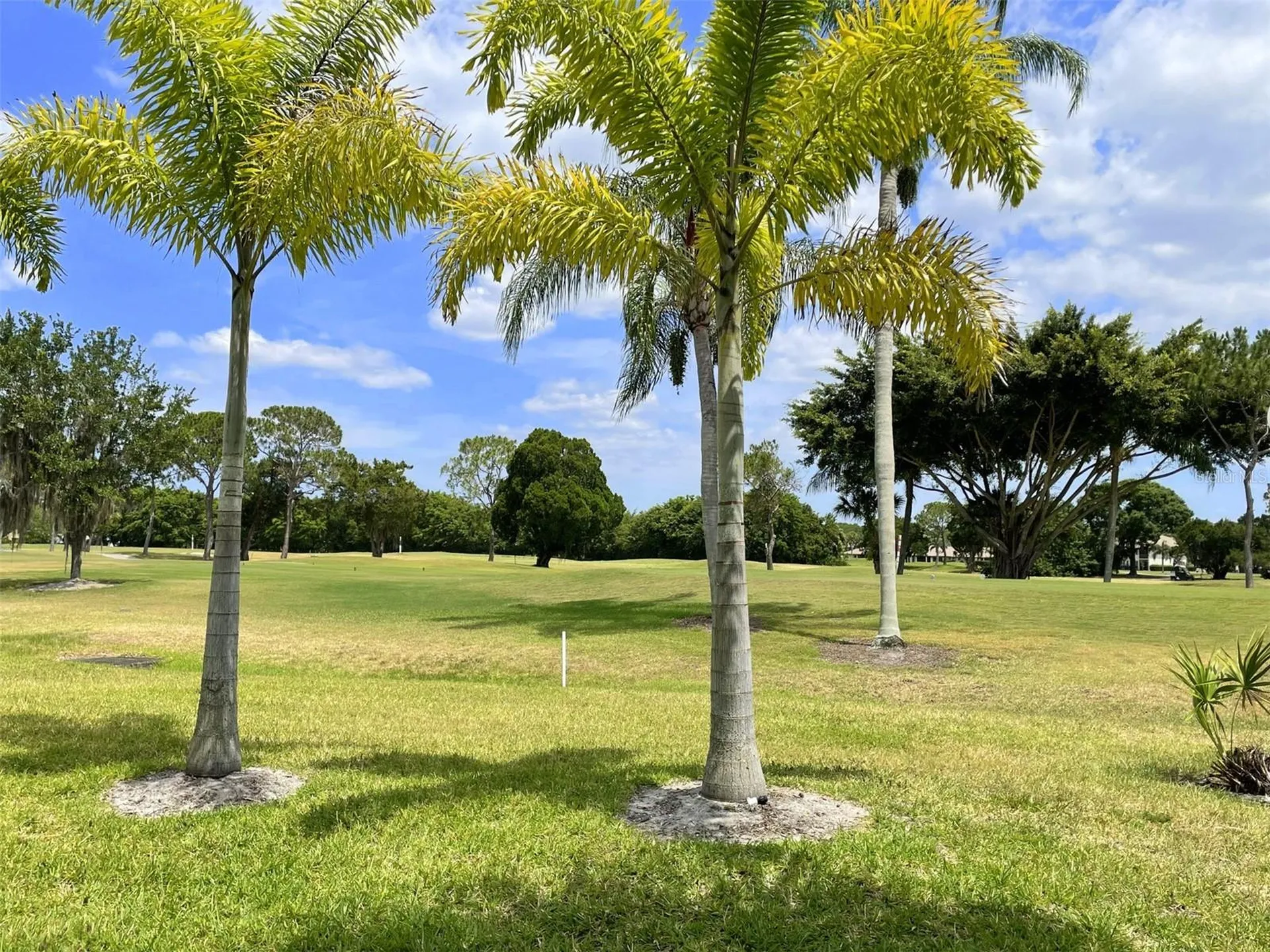 3543 Longmeadow Sarasota FL 34235