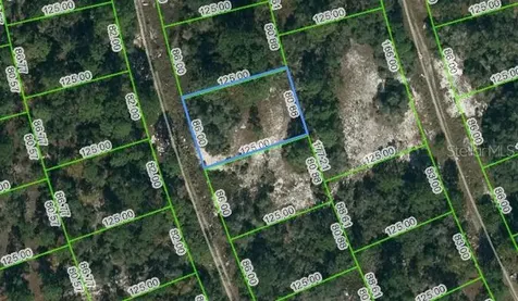 377 Concert Drive Lake Placid FL 33852