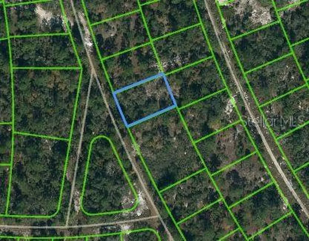 387 Blue Horizon Drive Lake Placid FL 33852