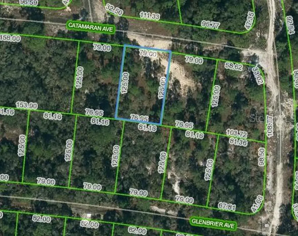 337 Catamaran Avenue Lake Placid FL 33852
