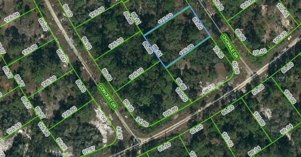 362 Chorale Drive Lake Placid FL 33852