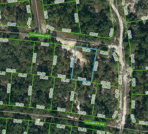 341 Catamaran Avenue Lake Placid FL 33852