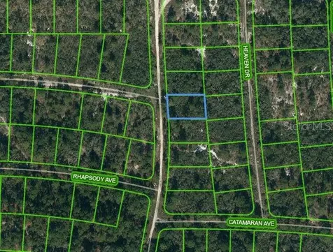 437 Twilight Drive Lake Placid FL 33852