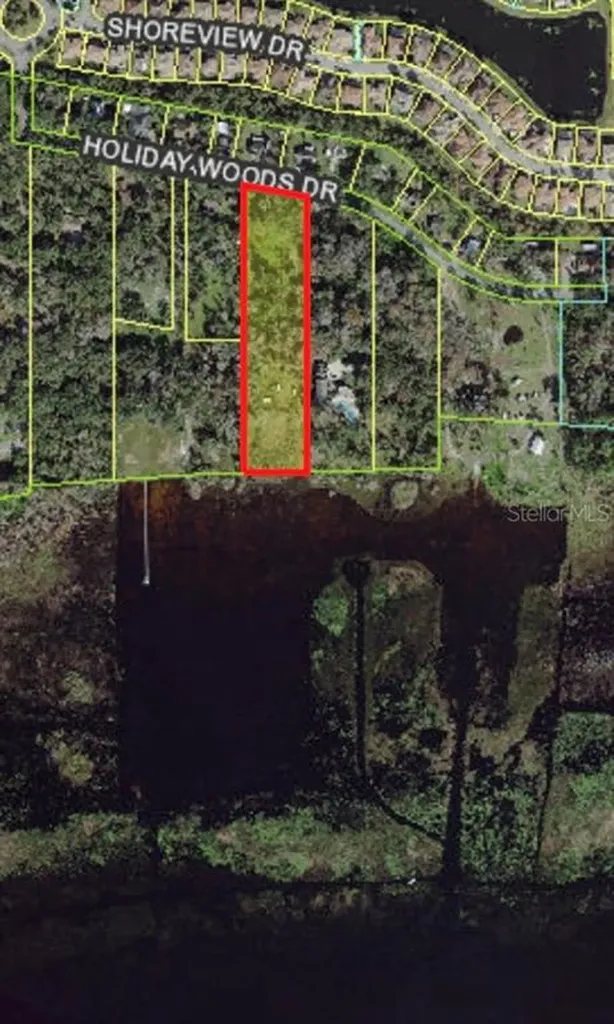 2740 Holiday Woods Drive Kissimmee FL 34744