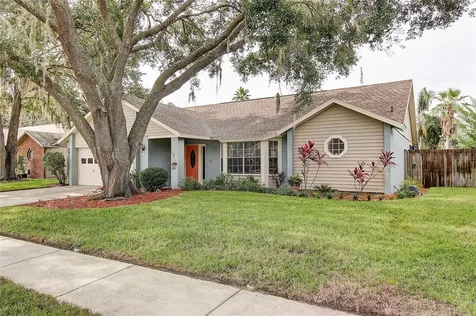 1425 Monte Lake Drive Valrico FL 33596