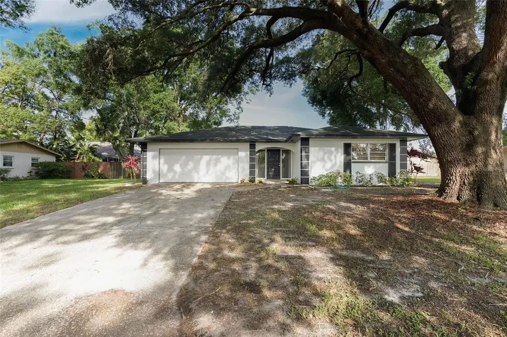 3401 Clover Leaf Lane Land O Lakes FL 34639