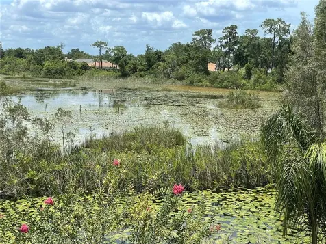 21133 Los Cabos Court Land O Lakes FL 34637