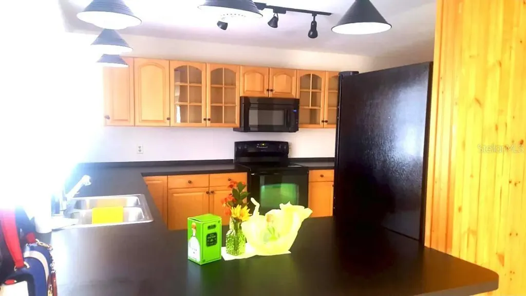 541 Hunter Circle Kissimmee FL 34758