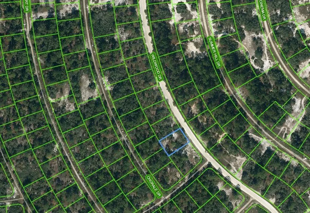 354 Wildwood Drive Lake Placid FL 33852