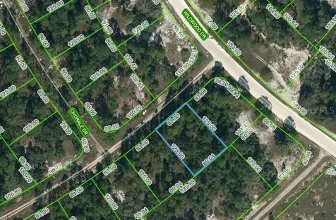 391 Cartier Avenue Lake Placid FL 33852