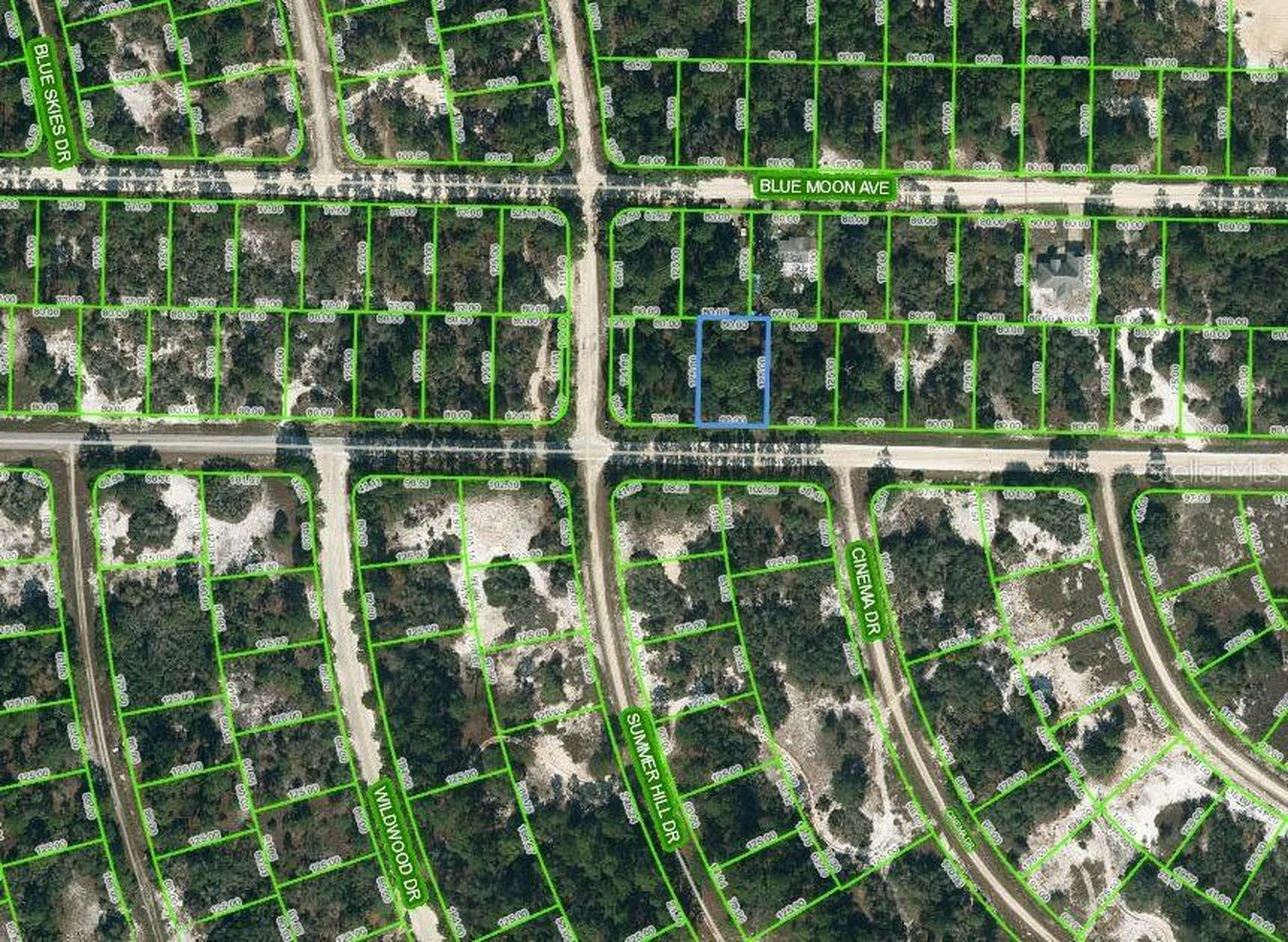 384 Jack Weisser Boulevard Lake Placid FL 33852