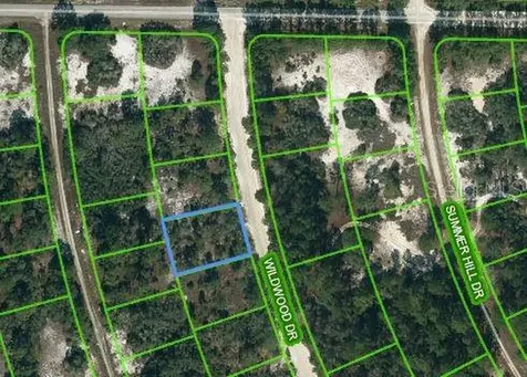 366 Wildwood Drive Lake Placid FL 33852