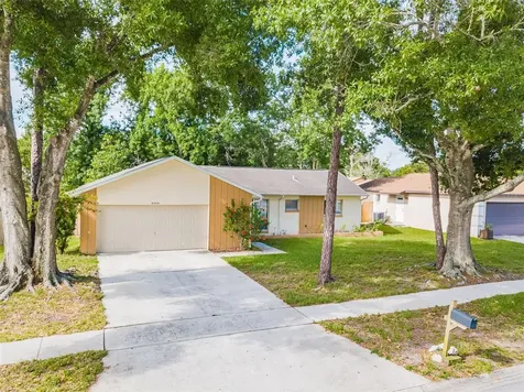 9556 Brimton Drive Orlando FL 32817