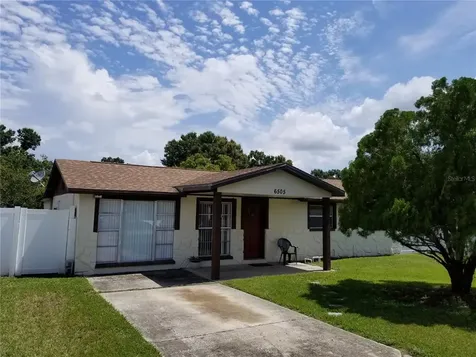 6505 Runningwoods Drive Tampa FL 33634