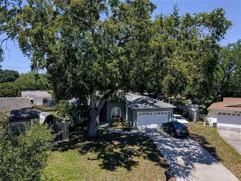 231 Morgan Court Palm Harbor FL 34684