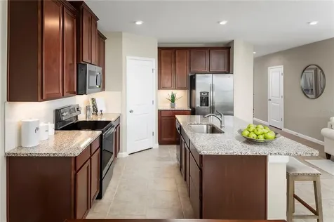 311 August Fern Loop Mount Dora FL 32757