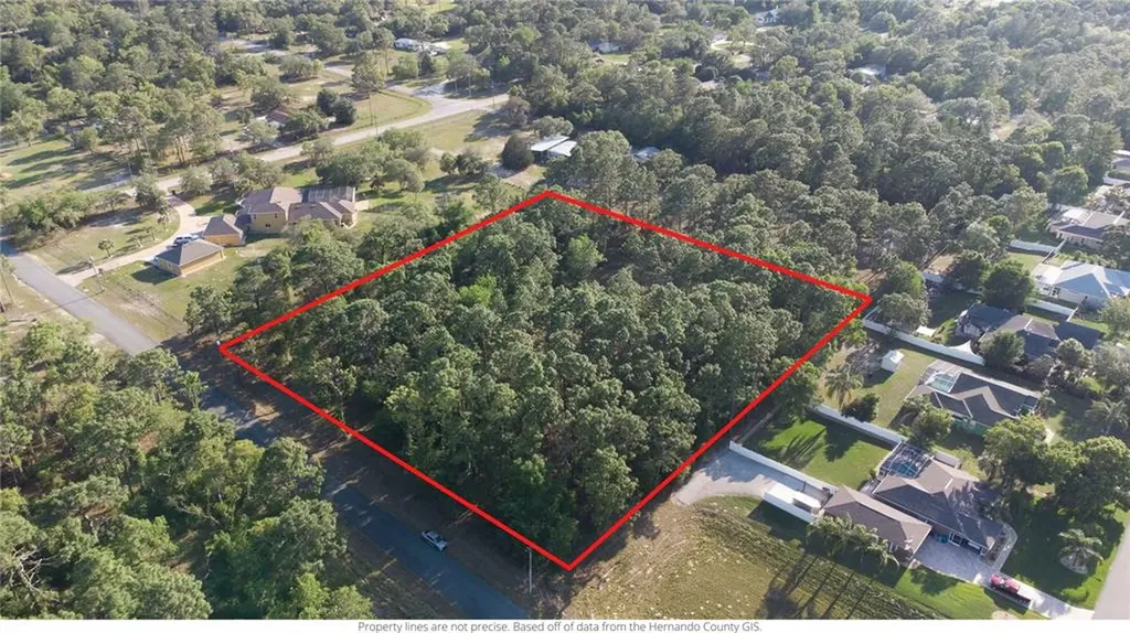 1451 Michelle Street Spring Hill FL 34609
