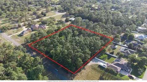 1451 Michelle Street Spring Hill FL 34609