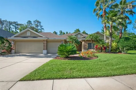27233 Laurel Chase Lane Wesley Chapel FL 33544