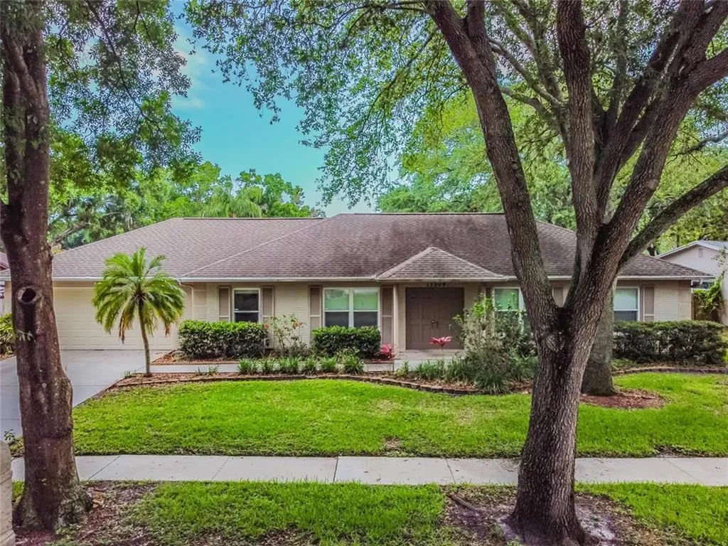 13209 Moran Drive Tampa FL 33618
