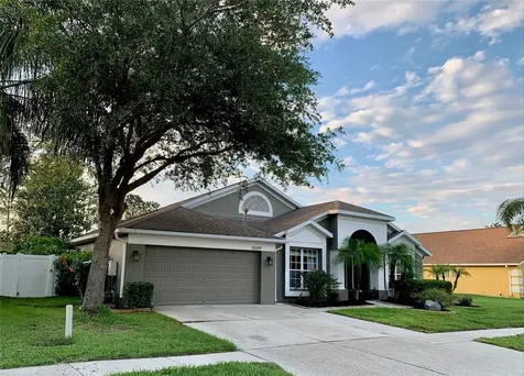 10209 Meadow Crossing Drive Tampa FL 33647