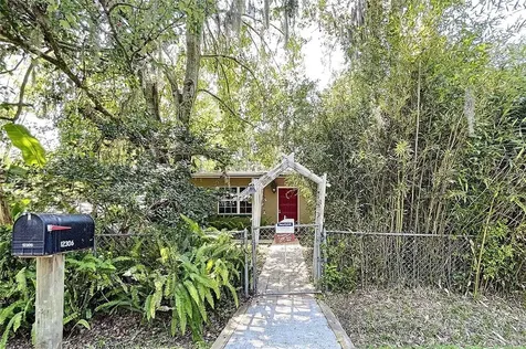 12306 Holyoke Avenue Tampa FL 33624