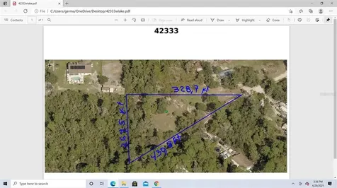 42333 W Lake Road Deland FL 32720