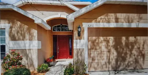 6233 Desert Peace Avenue Land O Lakes FL 34639