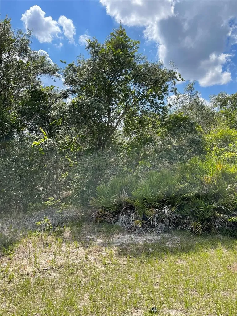 615 Mediterranean Court Poinciana FL 34759