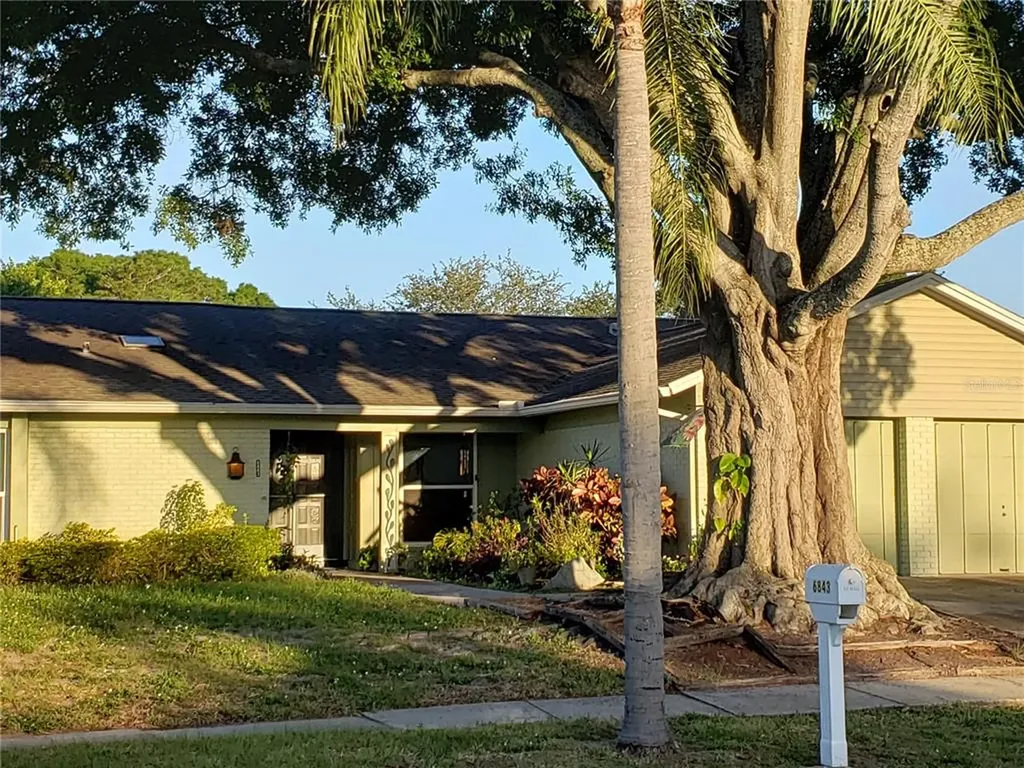 6843 Mitchell Circle Tampa FL 33634