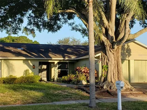 6843 Mitchell Circle Tampa FL 33634