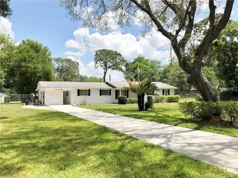 12709 N 53rd Street Temple Terrace FL 33617