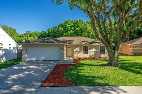 24323 Painter Drive Land O Lakes FL 34639