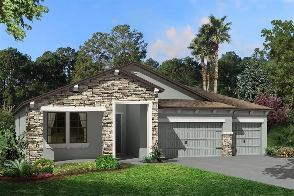 19385 Rosemoor Avenue Lutz FL 33558