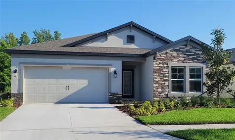 30739 Parrot Reef Court Wesley Chapel FL 33545