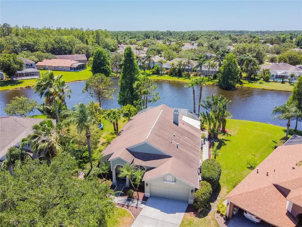 10369 Lightner Bridge Drive Tampa FL 33626