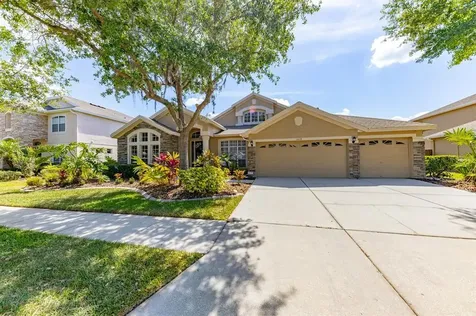 6618 Thornton Palms Drive Tampa FL 33647