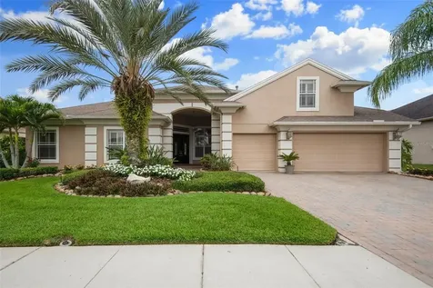27053 Winged Elm Drive Wesley Chapel FL 33544