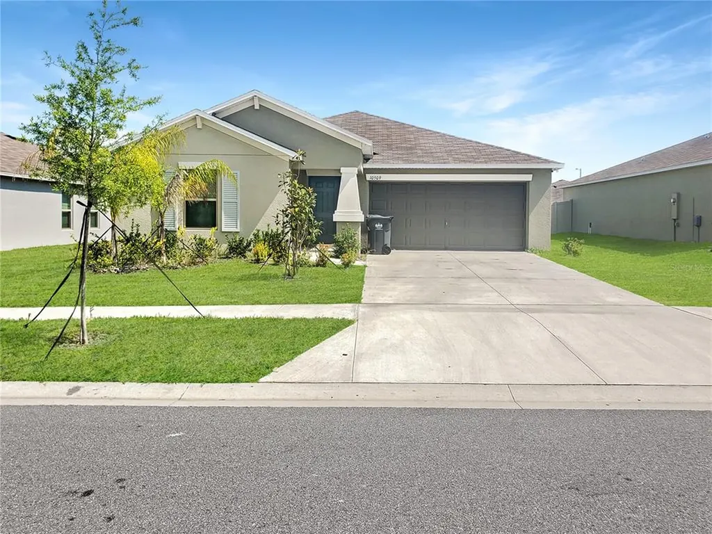 10509 Strawberry Tetra Drive Riverview FL 33578