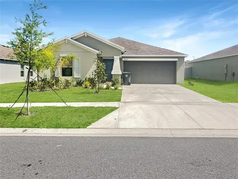 10509 Strawberry Tetra Drive Riverview FL 33578