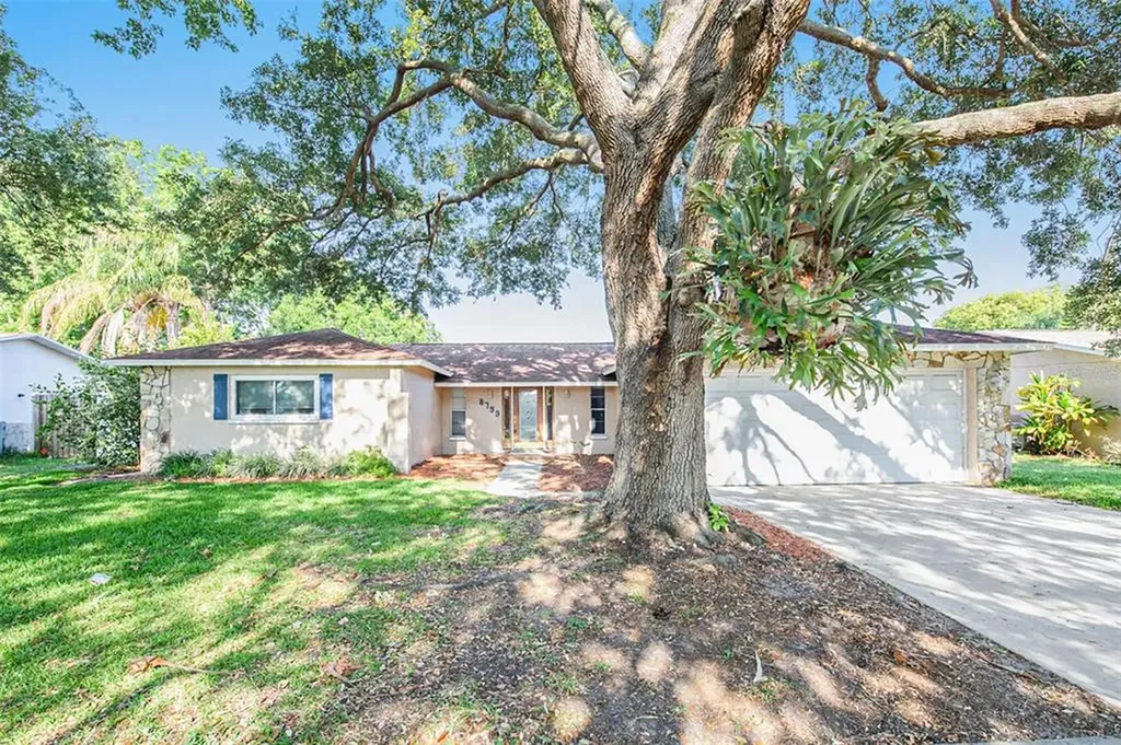 8799 Leona Street Seminole FL 33772