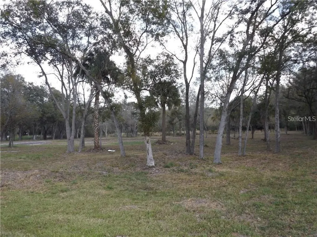 10490 Ventura Boulevard Tampa FL 33619