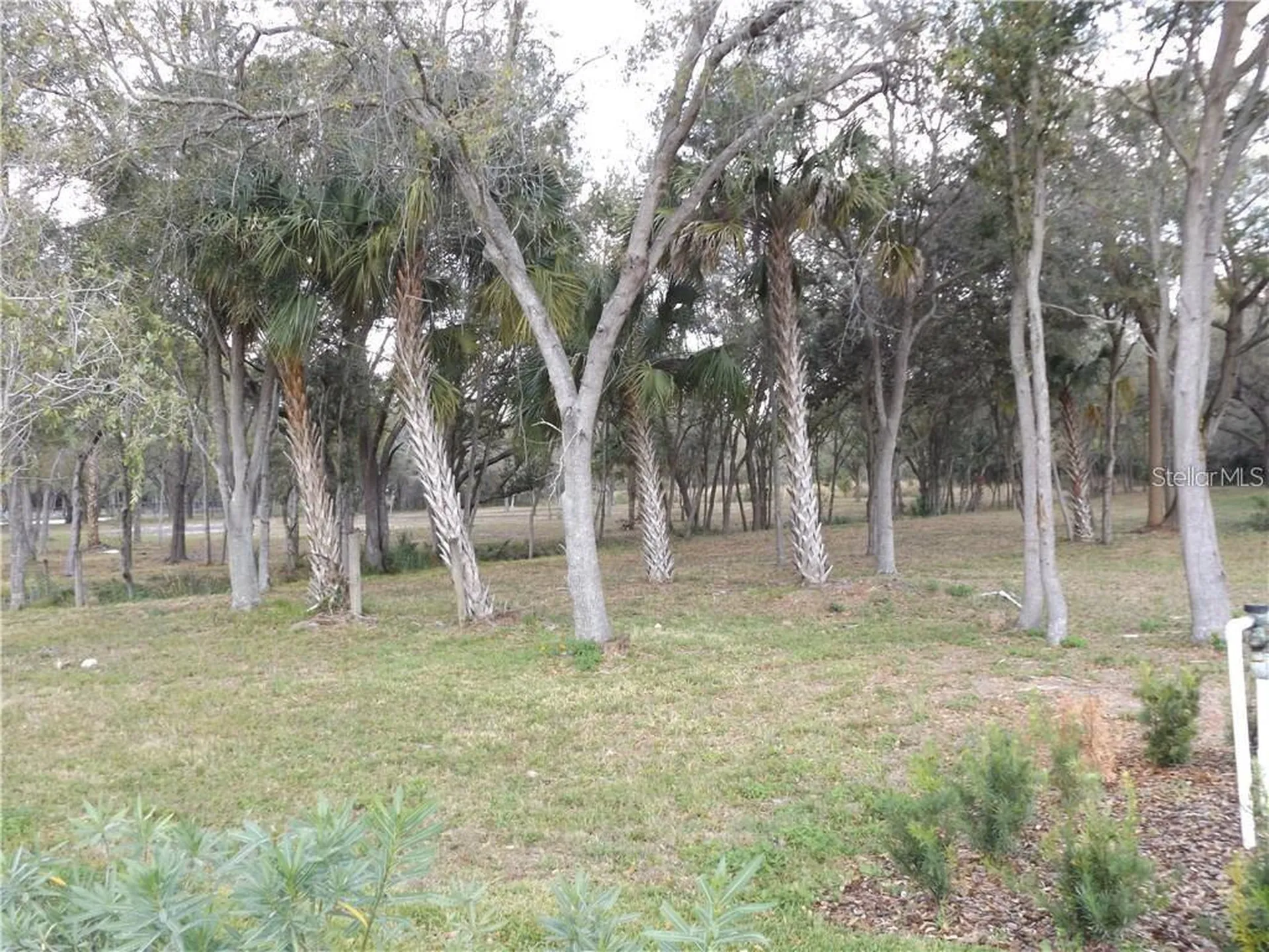 10490 Ventura Boulevard Tampa FL 33619