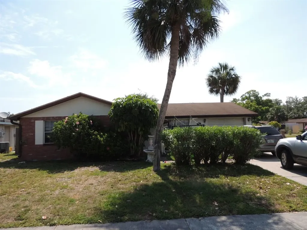 9734 Lamantin Drive Port Richey FL 34668