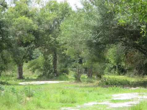 17334 NW 264th Street Okeechobee FL 34972