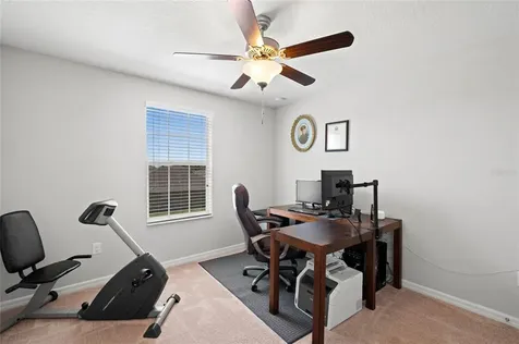 1631 Climbing Dayflower Drive Ruskin FL 33570