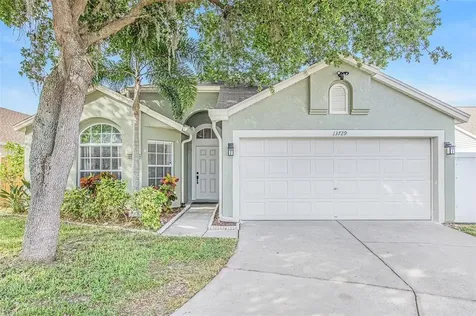 13729 Staghorn Road Tampa FL 33626